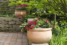Woodbridge Property Managers